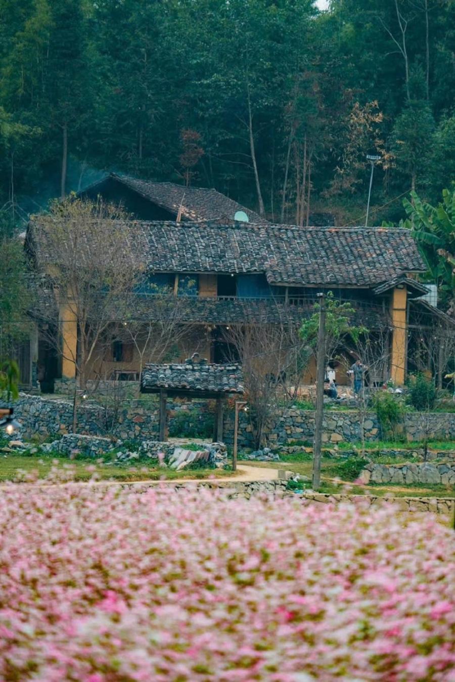 Voi Meo Vac Hostel & Breakfast Екстериор снимка